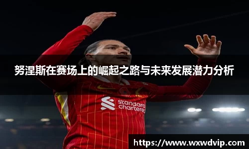 努涅斯在赛场上的崛起之路与未来发展潜力分析